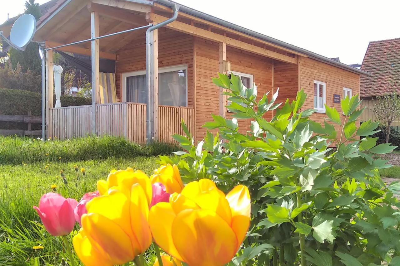 Tiny-Ferienhaeusle Casa Wendy Vila Loßburg Exterior foto